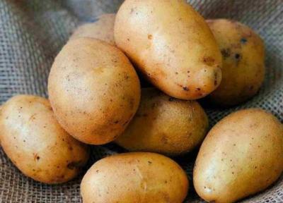 این 9 نوع کربوهیدارت را هیچ وقت از رژیم تان حذف نکنید! این 9 نوع کربوهیدارت را هیچ وقت از رژیم تان حذف نکنید!